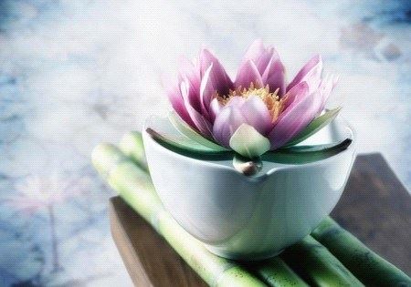 药师山·紫虚居士：定中观想心得报告