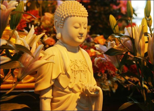 清远法师：清远法师在河北泊莲寺祈福中华、祝福奥运水陆法会圆满上堂法语