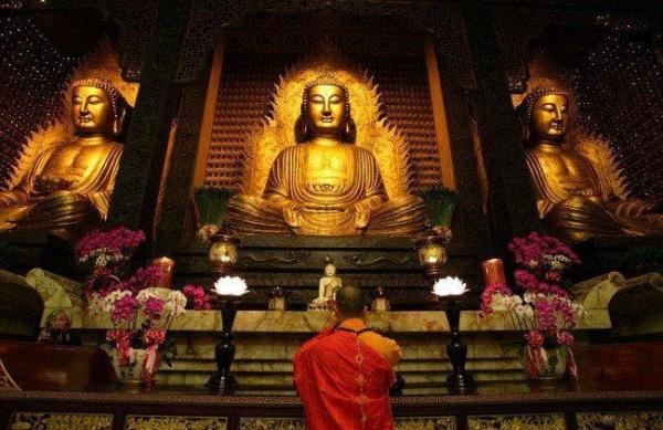 想离苦得乐就先信因果