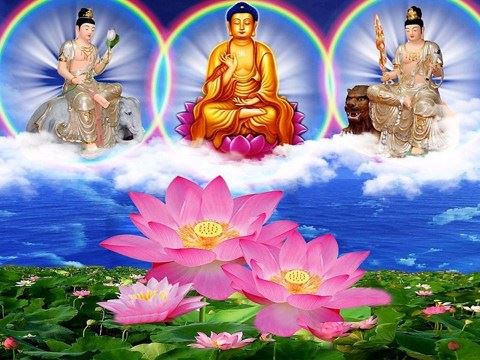 嘎玛仁波切：如何帮助患重病的人？