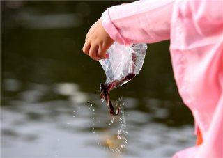 信愿法师：今欲劝人往生者，未知若为安心、起行、作业，定得往生彼国土也？（三）