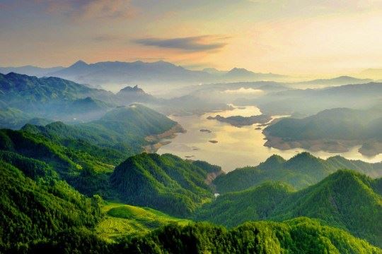 聊聊戒色中的观心断念