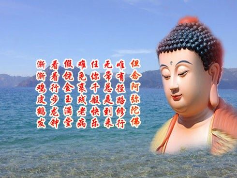 印光大师：当以研究大乘经论开圆顿解为先导，信愿持名求生西方为正行