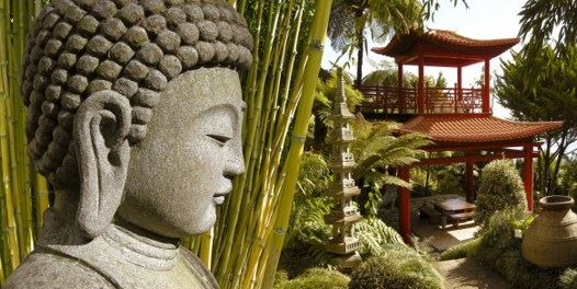 果戒法师：把爱情转为慈悲