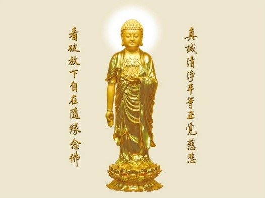 济群法师：依止法——意义来自需要