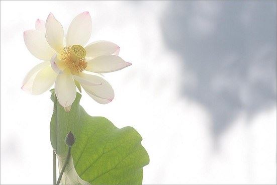 方海权：学会吃亏，有你意想不到的惊喜