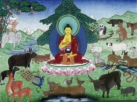 怀恨在心，最终受伤的是自己的心