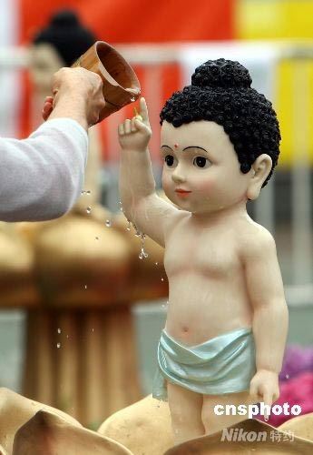 李娟师兄诵金刚经心得：佛法与生活
