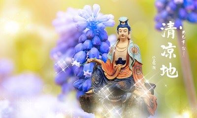 净土法门法师：无始劫来都搞虚妄，这一下搞真实了，太难得！