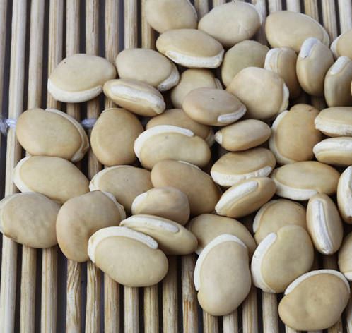 卢志丹居士：世间力量最大的是什么