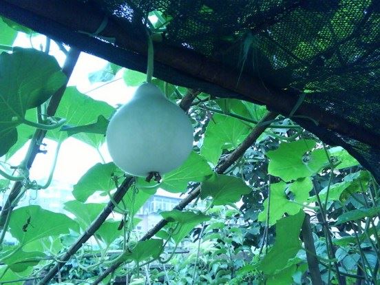 星云大师：世界上最公平的就是因果