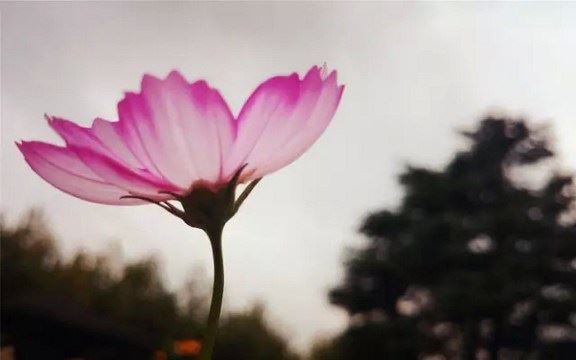 易学泰斗邵伟华：破解命运之迷-1