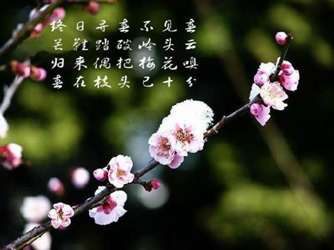 一居士中毒后每天拜佛3000,终于战胜中毒后遗症