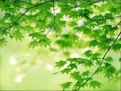 仁焕法师：新年的希望与祝愿