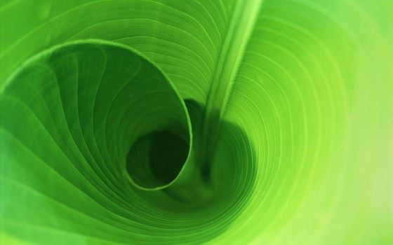 达照法师：净化心灵的妙宝 四、净化心灵会经历的四个阶段