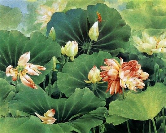 达真堪布：护法神会抛弃什么样的人