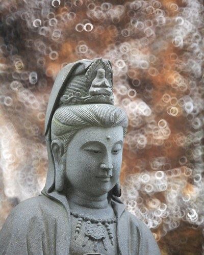 净界法师：在极乐国土，你跟十方诸佛，乃至娑婆世界是隔而不隔！
