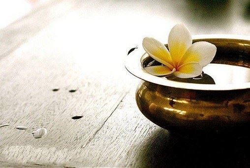 蔡礼旭老师：经营人生要用理智而不是感情