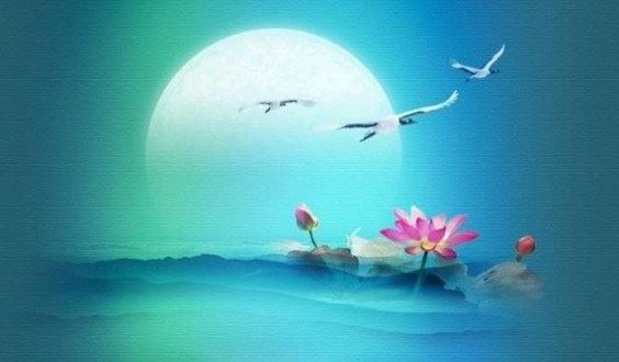 净土法门法师：修行叁阶段