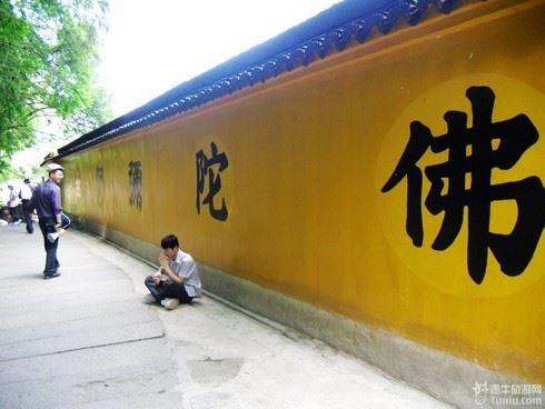 六道见闻：听宠物说话