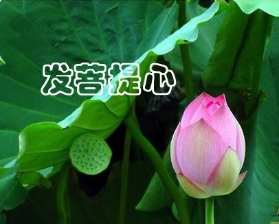 谈锡永居士：四重缘起深般若 第二章 龙树四重缘起 5 《七十空性论疏》