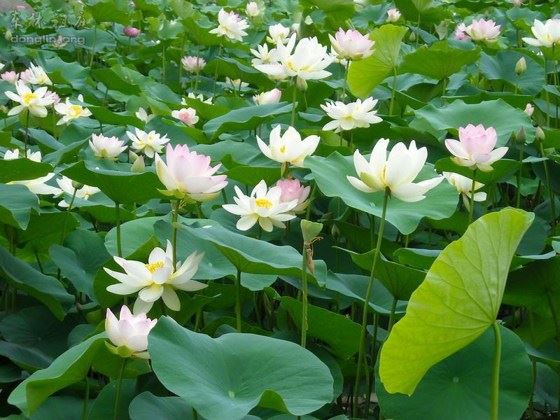 一个人开始走上坡路的3个征兆，快来看看有你吗？