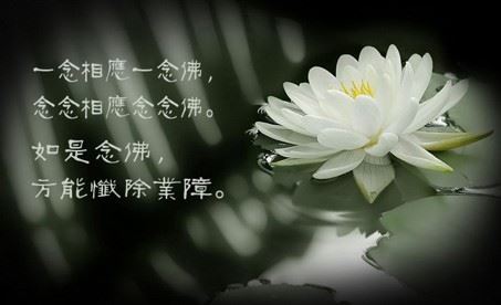 发生在清代的一件拾金不昧的故事