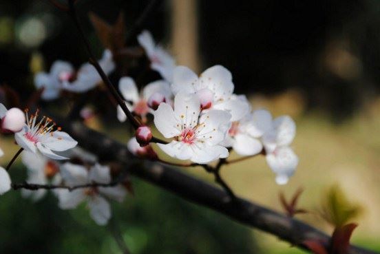 学诚法师 ：外境无常，怎样调伏烦恼