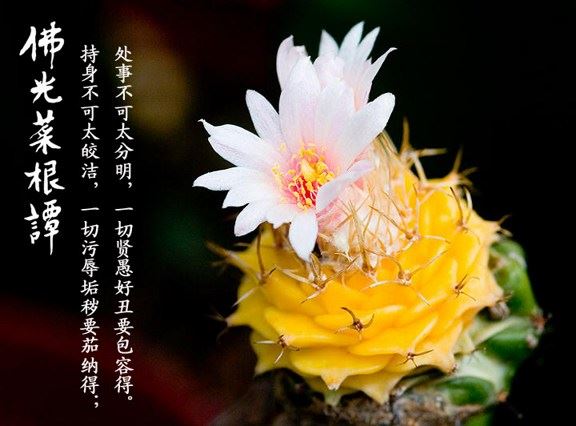 达真堪布：有福之人的十种心态！你符合么？