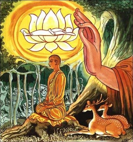 传喜法师：面对苦难生起悲心