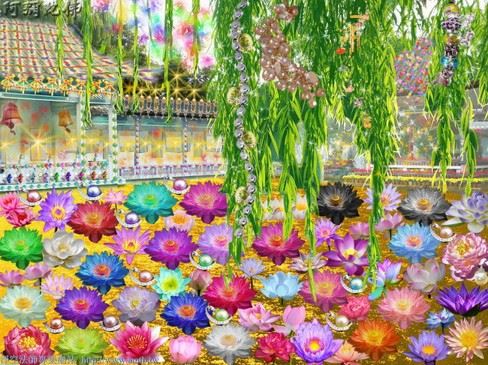 净土法门法师：离开“戒定慧”就不是佛法