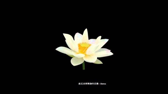修行人，有几件事每天都不能忘记