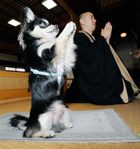元音老人：元音老人文集菁华录 第二章 明心见性 6 性相不二