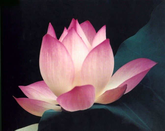 吃亏是在给自己积福