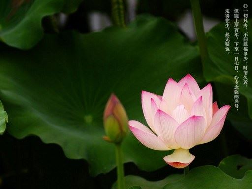 穷人问佛：我为什么这样穷？