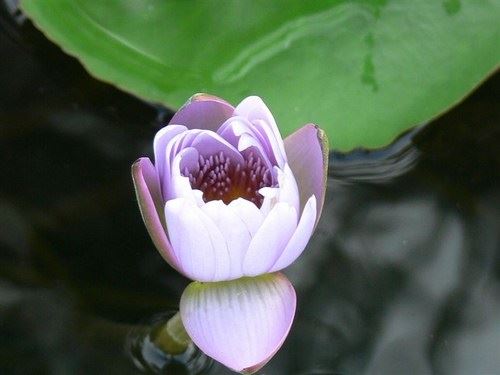 海涛法师：下雨天只需动动嘴，每一粒雨都能利益无量众生