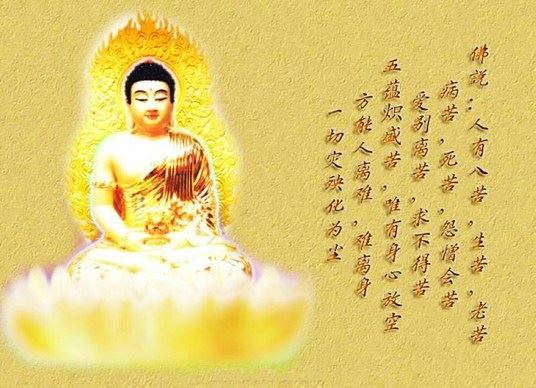 觉真法师：心、内在动力、命运