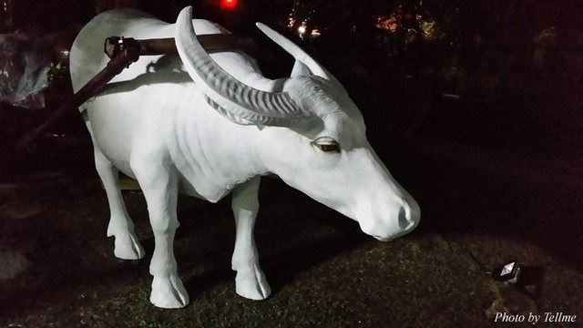 信愿法师：丧家以荤腥祭拜亡者，并焚烧纸钱，这样助念有用吗？