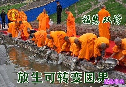 宏圆法师：受持读诵《金刚经》，若为人轻贱，是人先世罪业则为消灭