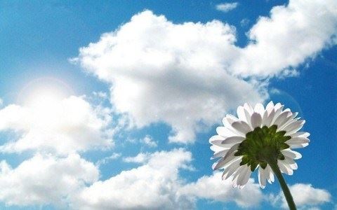 雪漠：百花齐放和与时俱进