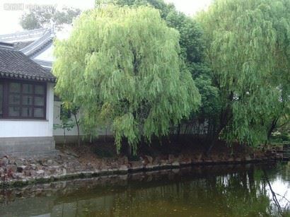 其他文章