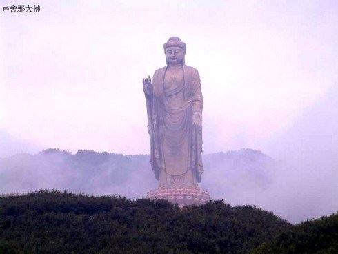 几则杀狗、吃狗肉恶报事例