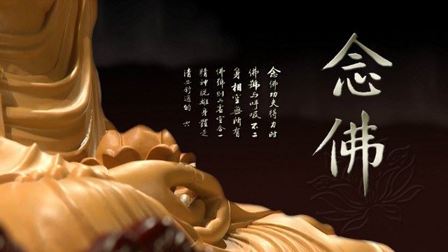 杨笑天教授：《赵朴初遗偈》的佛教境界——纪念赵朴初逝世5周年