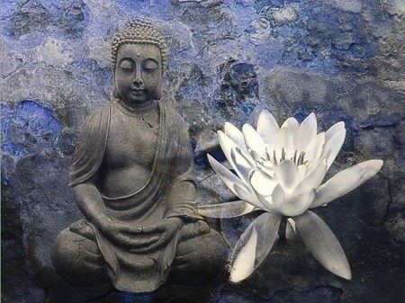 净土法门法师：见闻这两个字有不同的程度、境界，因此果报不相同