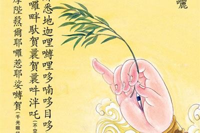 妙莲老和尚：学佛不要只会念佛，还要学会认错