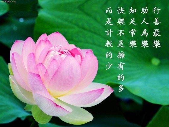心上莲花：辟谷
