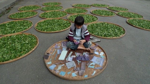 学佛心路