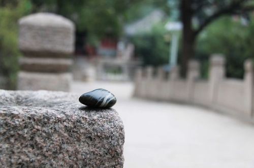 大安法师：末法时代众生饮苦食毒