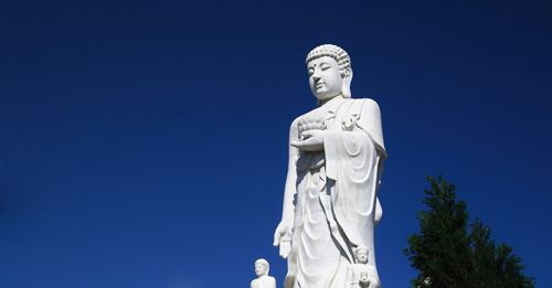 放生的人，可消除大灾劫，治愈大病，得大福报