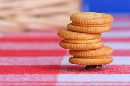 太虚大师：中国人的8种通病可以靠它改变